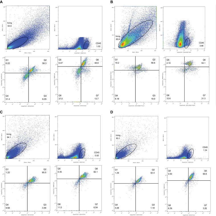 FIGURE 13