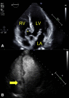 Figure 3
