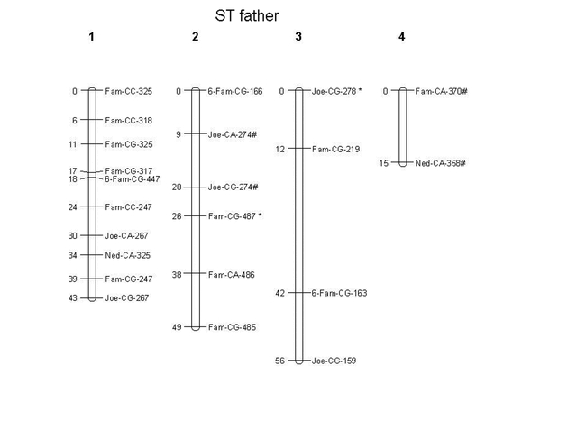 Fig. 1A.