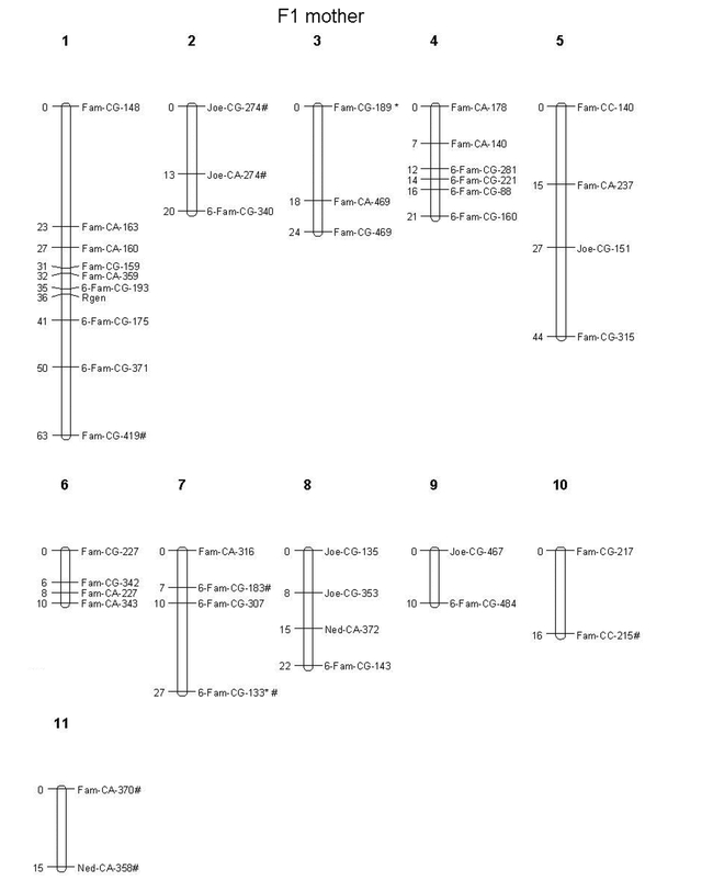 Fig. 1B.