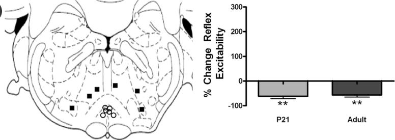 Supplementary Fig. 1