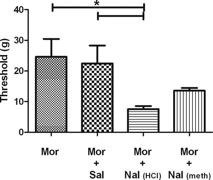 Supplementary Fig. 2