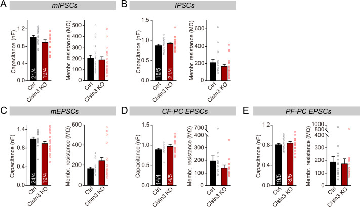 Figure 5—figure supplement 1.