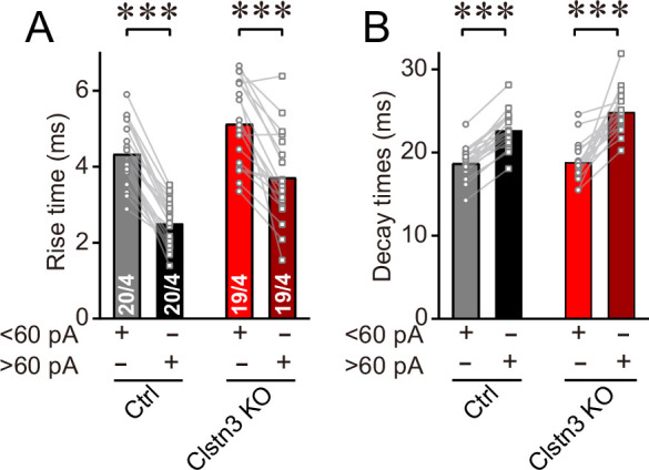 Figure 5—figure supplement 2.