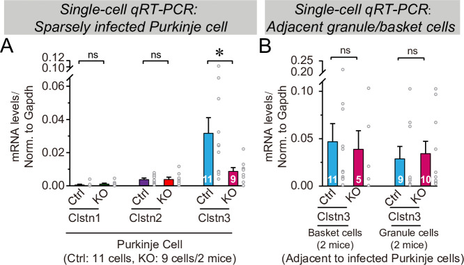 Figure 11—figure supplement 1.