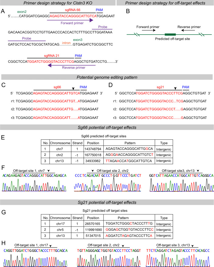 Figure 2—figure supplement 1.