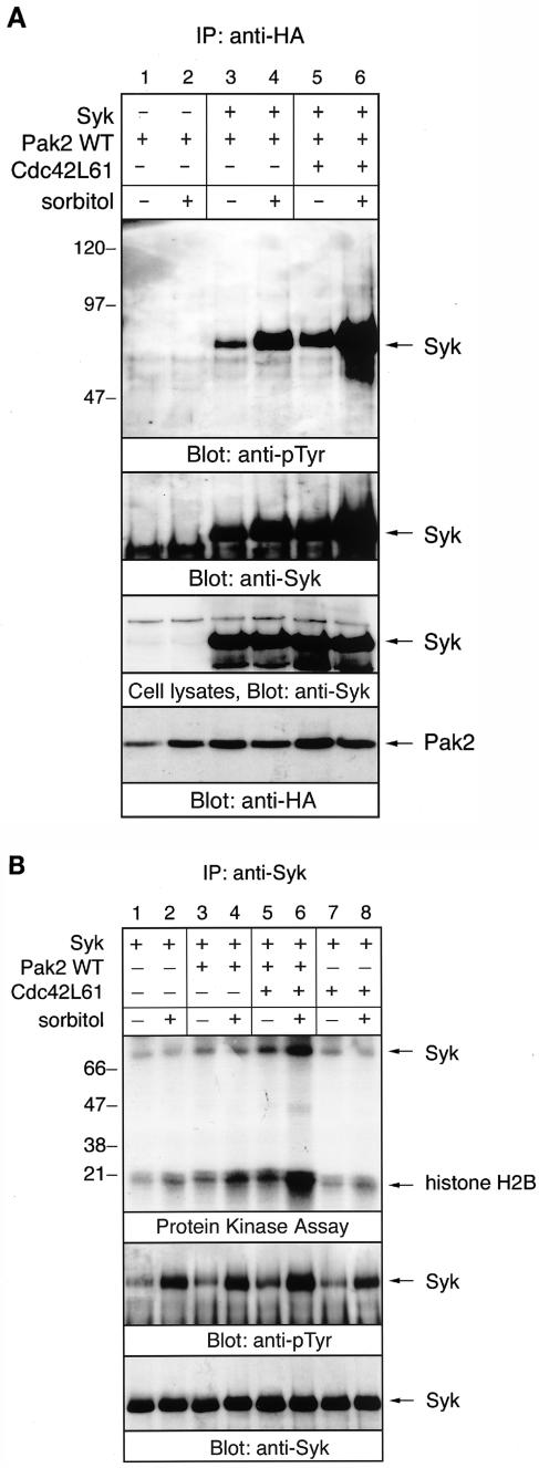 FIG.6.