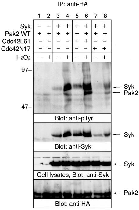 FIG. 9.