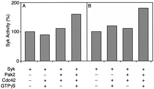 FIG. 5.