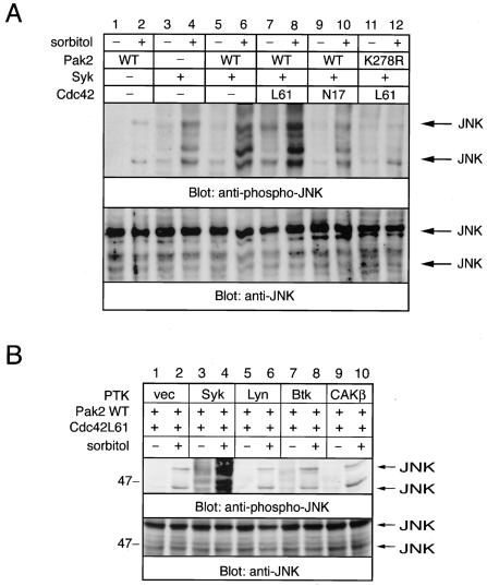 FIG. 8.