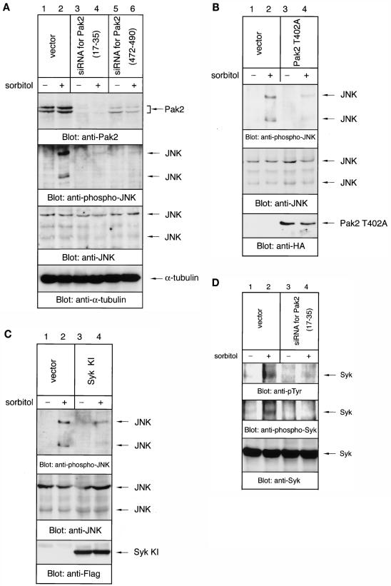 FIG. 11.