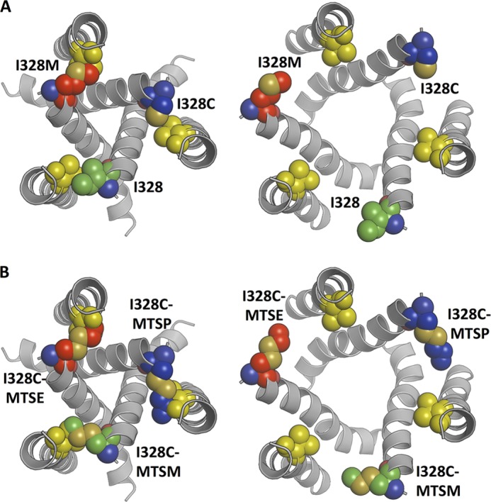 FIGURE 10.