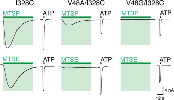 FIGURE 9.