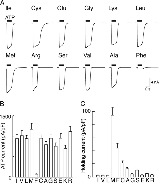 FIGURE 4.