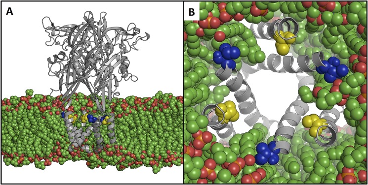 FIGURE 1.