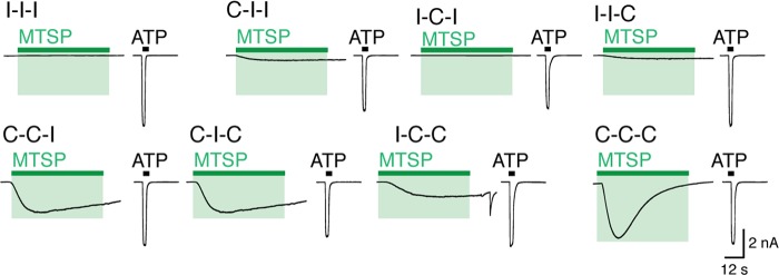 FIGURE 7.