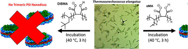 graphic file with name nihms-1930784-f0001.jpg