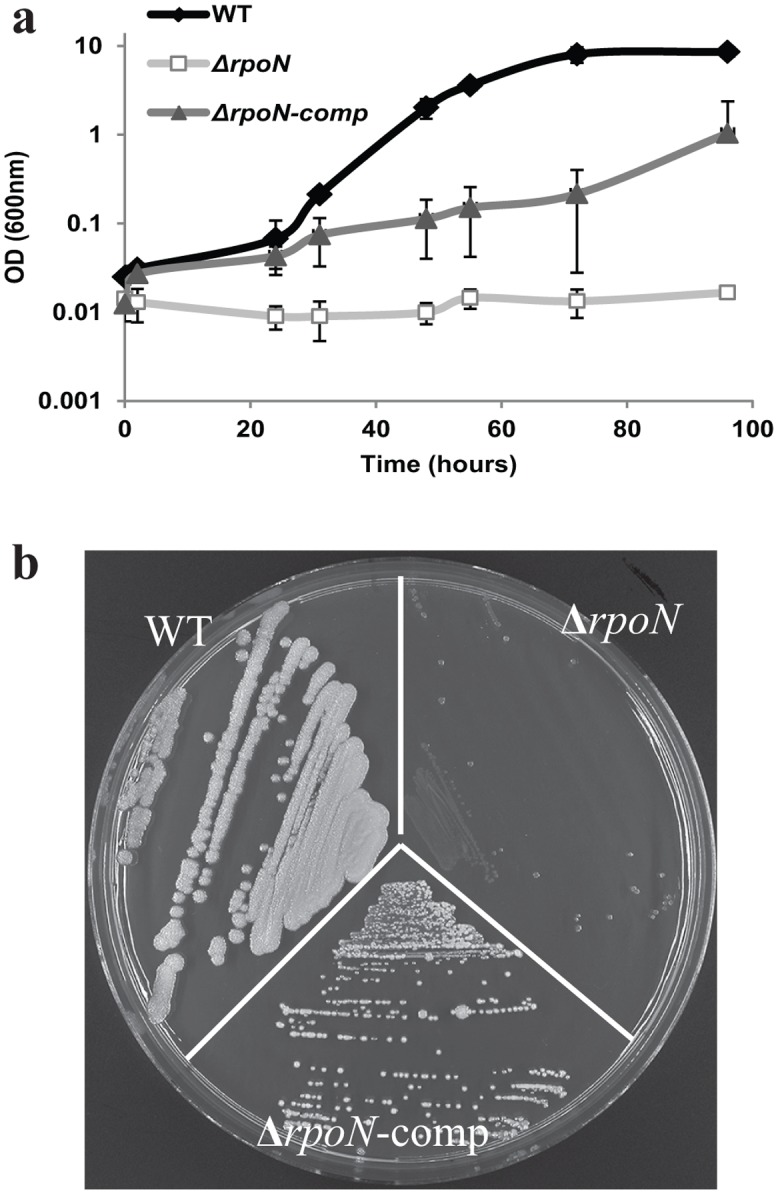 Fig 5