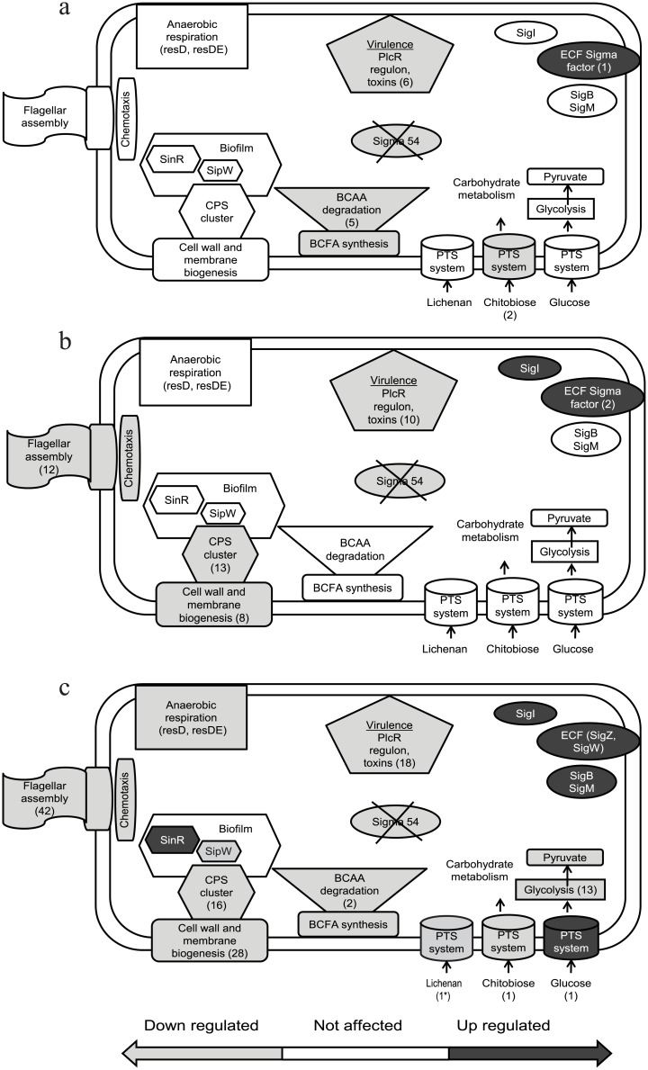 Fig 9