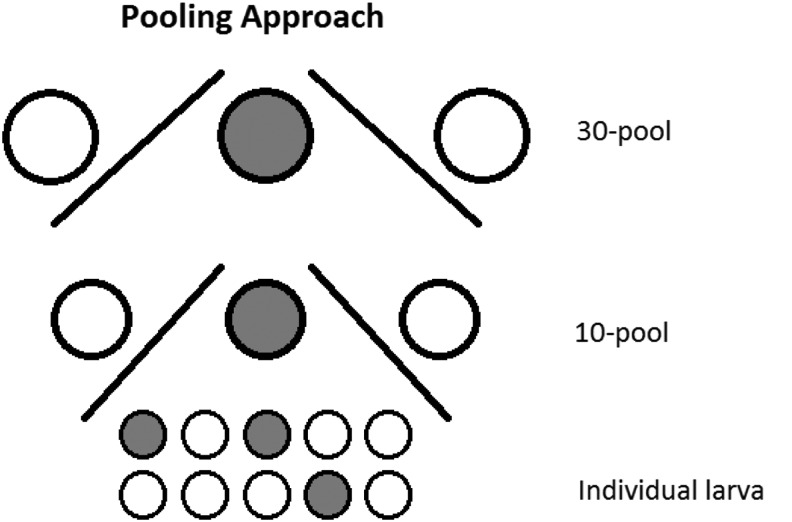 FIG. 2.