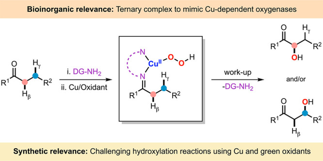 graphic file with name ar5c00476_0011.jpg