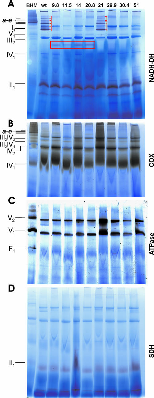 FIG. 4.