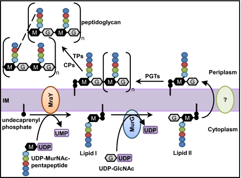 Fig. 1.