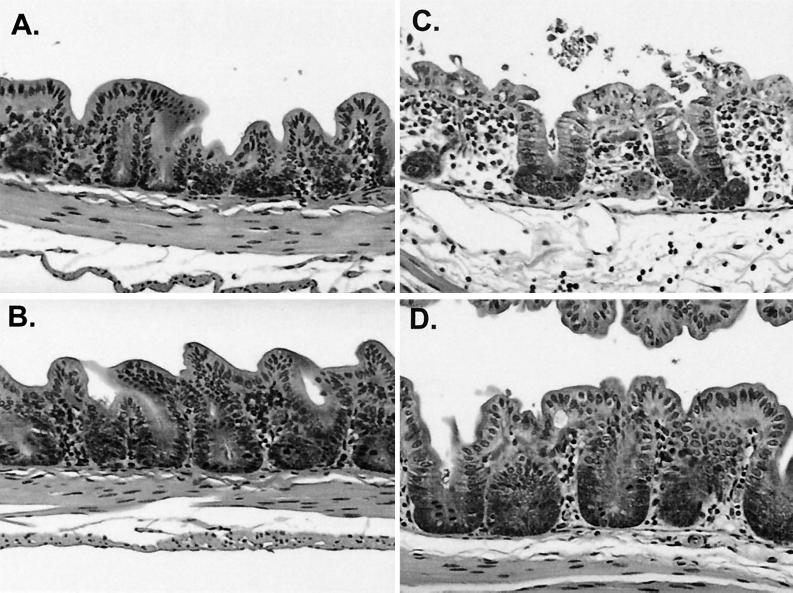 FIG. 6