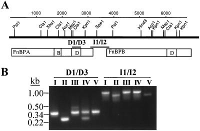 FIG. 1