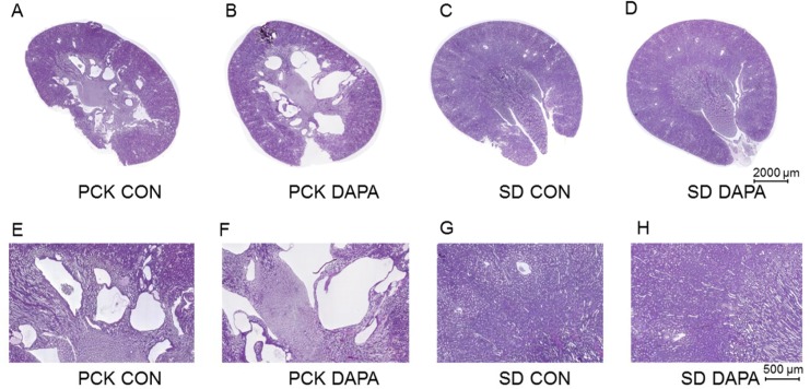 Fig 5