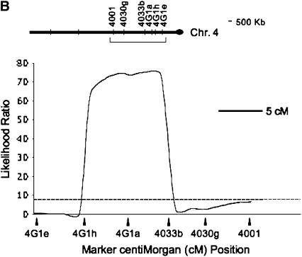 Figure 1.—