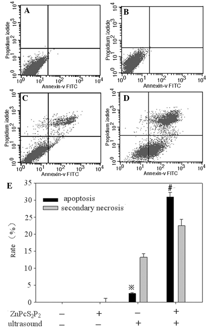 Figure 4.