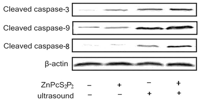 Figure 6.