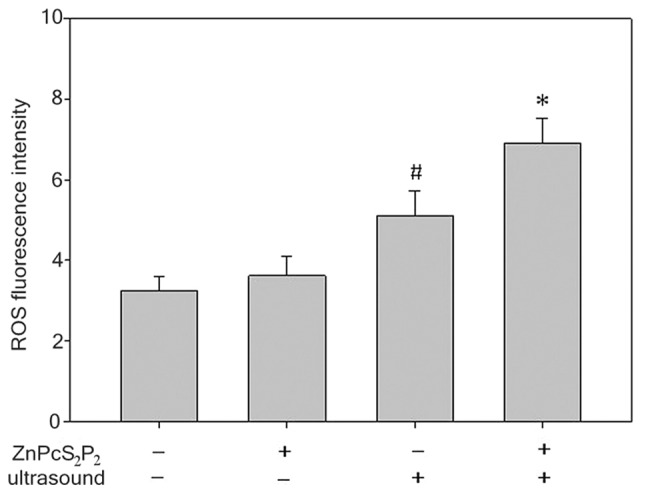 Figure 7.