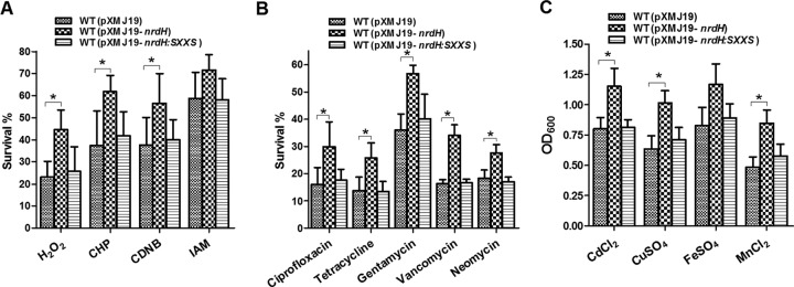 FIG 3