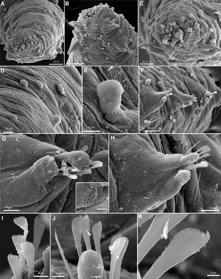 Figure 10.