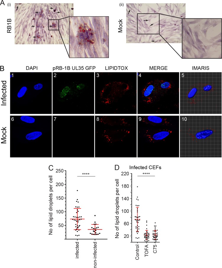 FIG 3