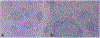 Figure 5: