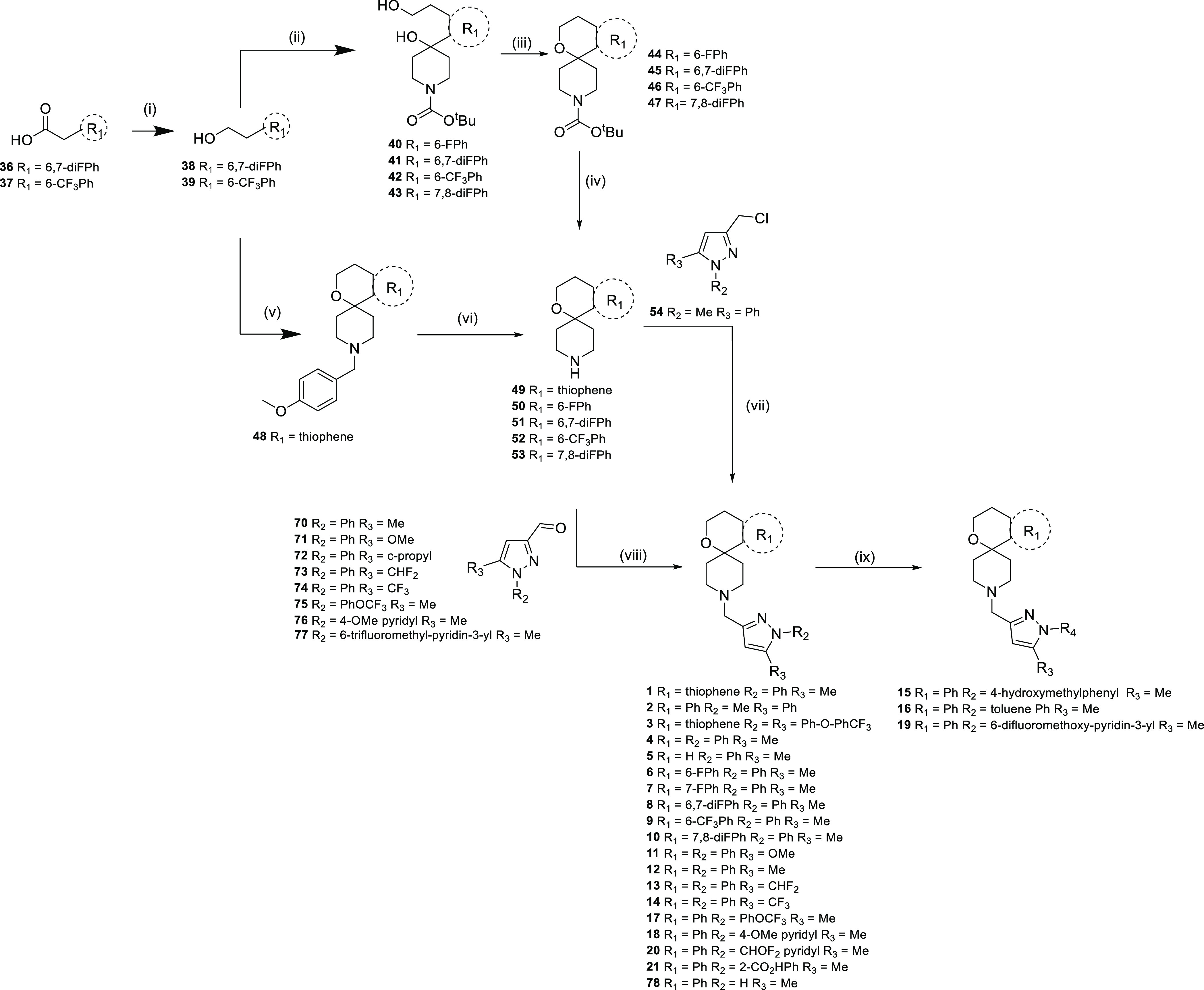 Scheme 1