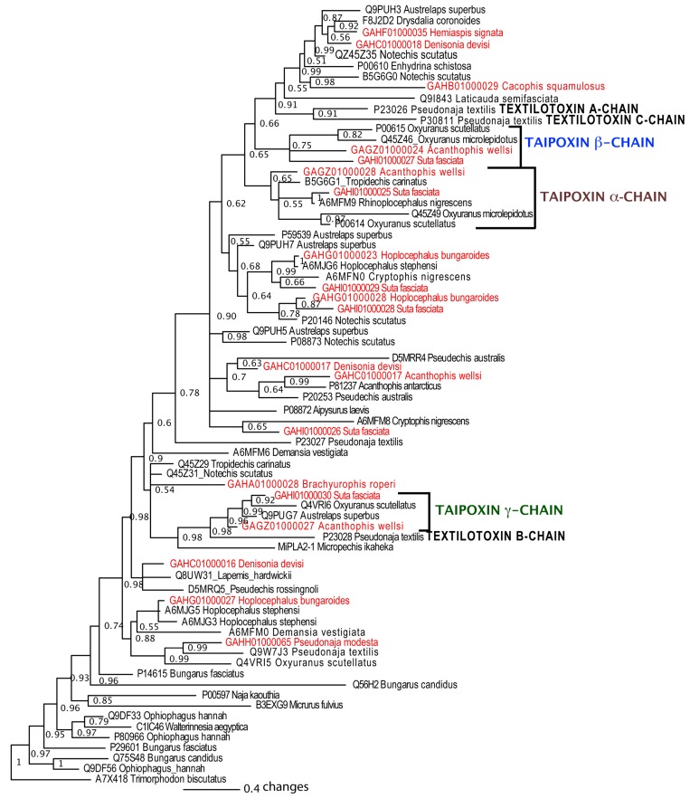 Figure 11