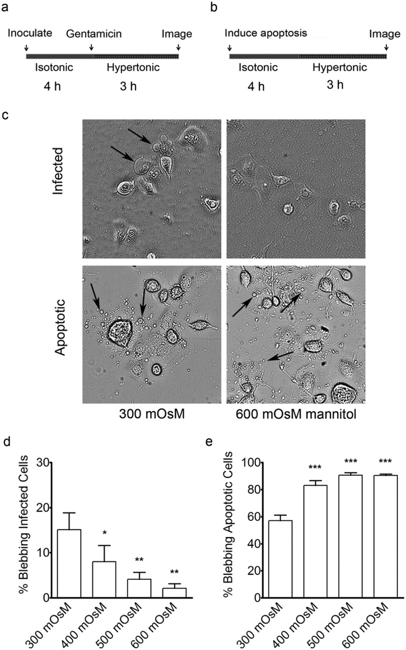 FIG 2 