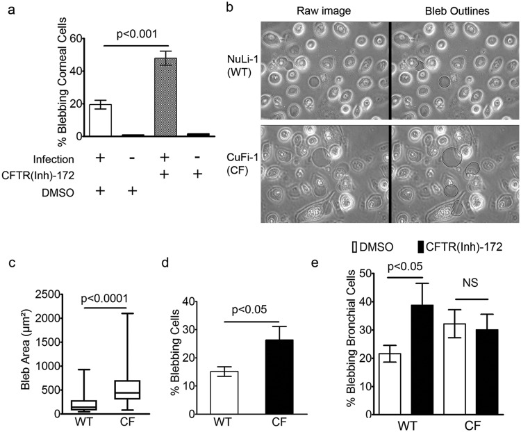 FIG 3 