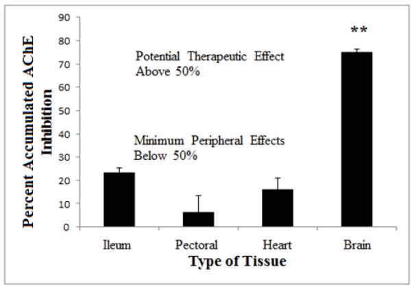 FIGURE TWO