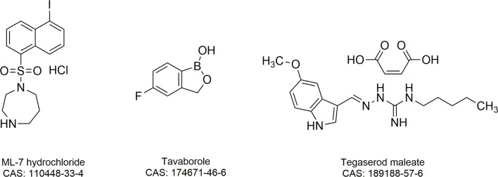 Figure 1