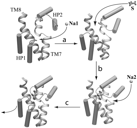 FIGURE 4