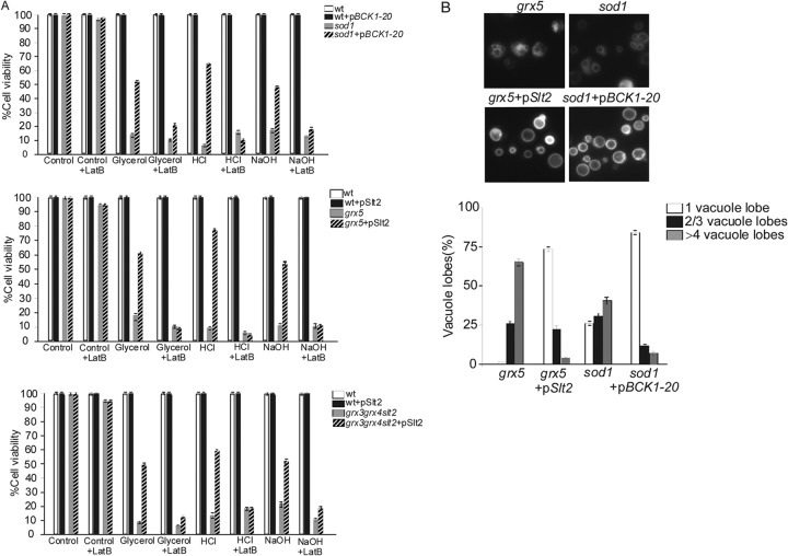 Fig 10