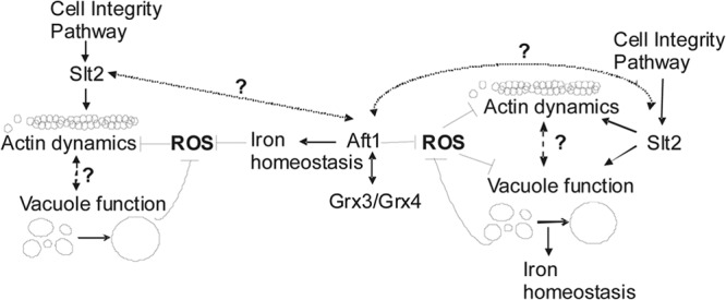 Fig 11