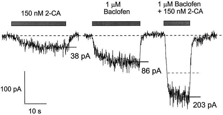 Fig. 11.