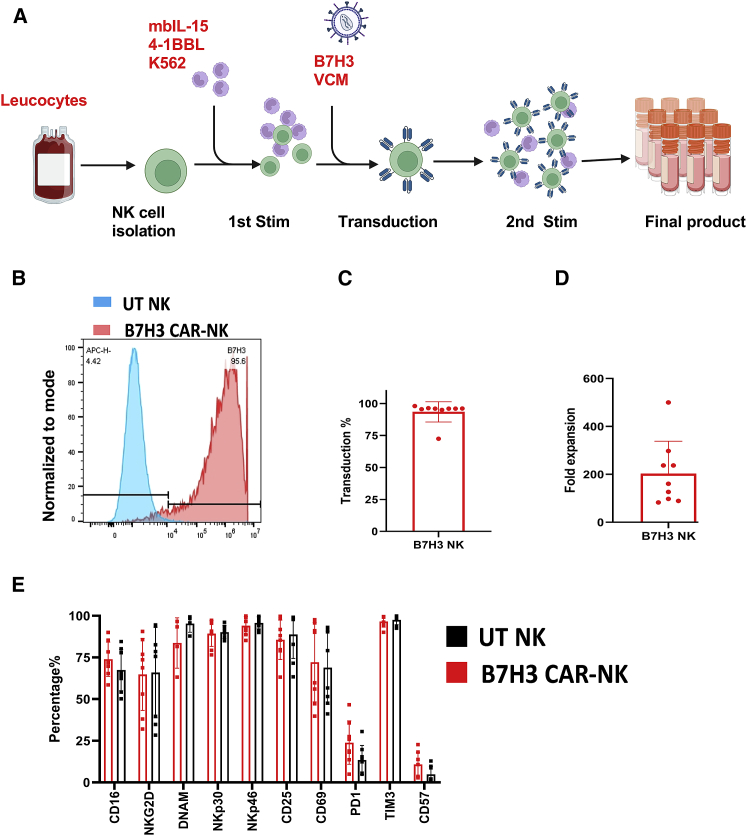 Figure 2