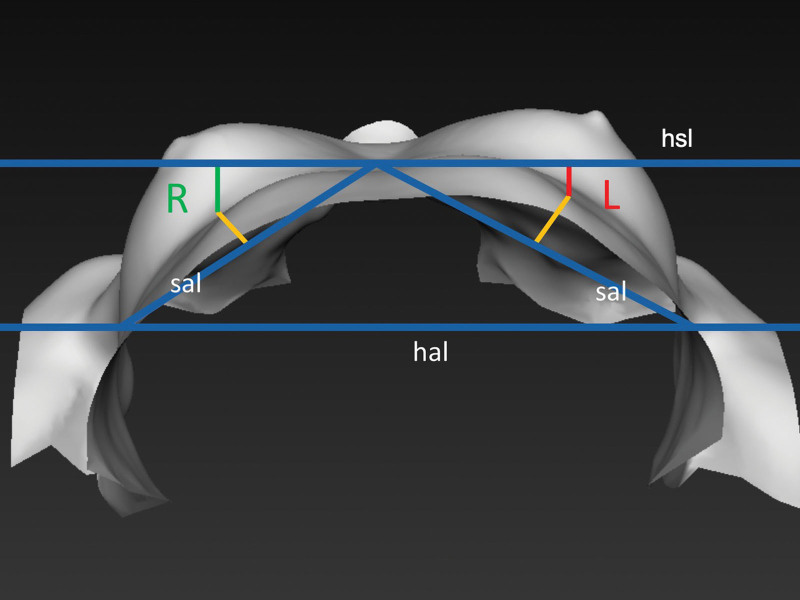 Fig. 8.